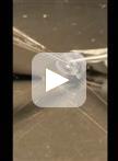 小鼠Müller细胞分离与培养
