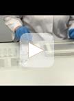 Staining of Membrane Receptors with Fluorescently-labeled  DNA Aptamers for Super-resolution Imaging