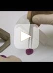 Isolation and Quantification of Plant Extracellular Vesicles
