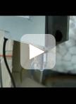Protease Activity Assay in Fly Intestines