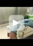 Drosophila Fecal Sampling