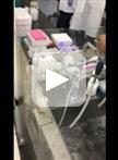 使用免疫磁珠进行Notch配体结合分析的实验方案