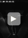 Touchscreen-based Visual Discrimination and Reversal Tasks  for Mice to Test Cognitive Flexibility