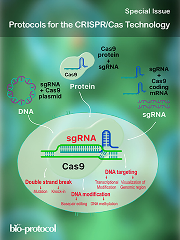 Protocols for the CRISPR/Cas Technology