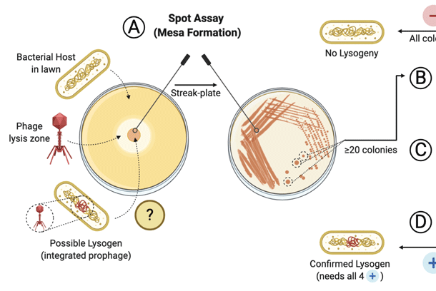 Bio 101 Improve Research Reproducibility