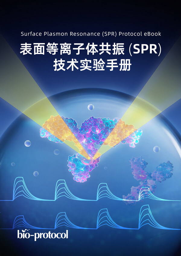 表面等离子体共振（SPR）技术实验手册