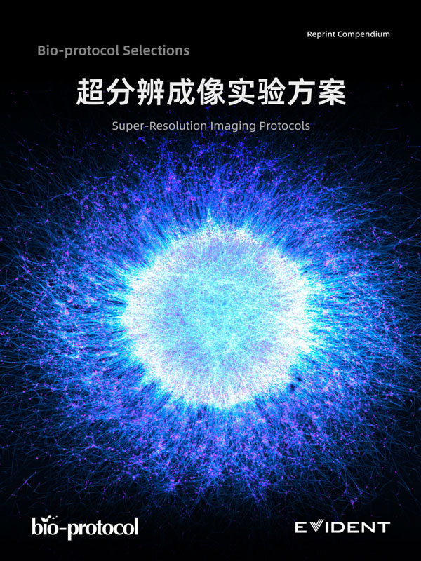 Super-Resolution Imaging Protocols