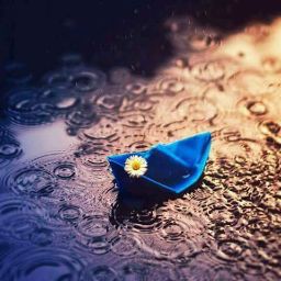 Sehrish Latif