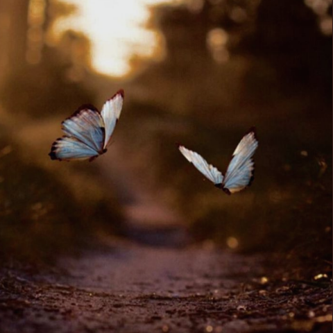 Parkavi0520 undefined