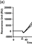 Surface Plasmon Resonance Analysis of Antigen-Antibody Interaction