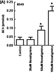 Measurement of Acetylcholine from Cell Lines