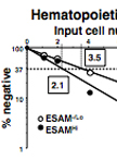 Limiting Dilution Assays to Determine Frequencies of Lymphohematopoietic Progenitors