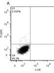 Isolation and Culture of Peritoneal Cell-derived Mast Cells