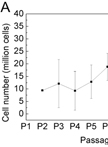 Isolation and Culture of Bone Marrow-derived Mast Cells