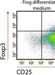 <em>In vitro</em> Regulatory T cells Differentiation From Naïve T Cells