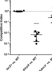 Infant Rabbit Colonization Competition Assays