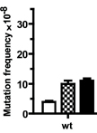 Determination of Rifampicin-resistance Mutation Frequency and Analysis of Mutation Spectra in Mycobacteria