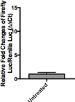 Wnt Reporter Activity Assay