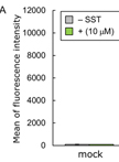 Signaling Assays for Detection of Human G-protein-coupled Receptors in Yeast