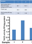Measurement of TACE Activity in Extracts from Cultured Cells