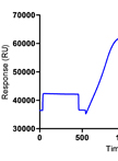 Binding Affinity Measurement of Antibodies from Crude Hybridoma Samples by SPR