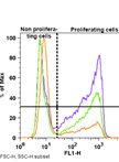 TGFβ Stimulation Assay