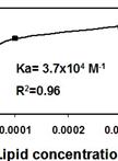 CAMP-Membrane Interactions Using Fluorescence Spectroscopy