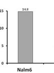 End-synapsis Assay