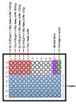 Chitinase Assay from Cultured Bone Marrow Derived Macrophages