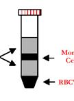 Purification of Human Monocytes and Lymphocyte Populations by Counter Current Elutriation – A Short Protocol