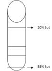 Membrane Preparation, Sucrose Density Gradients and Two-phase Separation Fractionation from Five-day-old Arabidopsis seedlings