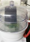 Monoclonal Antibody Purification (Nicotiana benthamiana Plants)