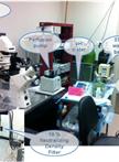 A Protocol for Measurement of Intracellular pH