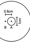In situ Chemotaxis Assay in Caenorhabditis elegans (for the Study of Circadian Rhythms)