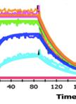 A Surface Plasmon Resonance Method to Study HCV NS5B Inhibitors 