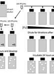 Measuring Genetic Robustness in Vesicular Stomatitis Virus