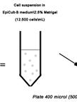 3D Mammary Colony-Forming Cell Assay