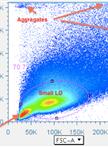 Quantification of T Cell Antigen-specific Memory Responses in Rhesus Macaques, Using Cytokine Flow Cytometry (CFC, also Known as ICS and ICCS): Analysis of Flow Data