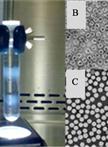 Enterovirus 71 Virus Propagation and Purification
