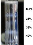 Small-scale Subcellular Fractionation with Sucrose Step Gradient