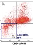 EML Erythroid and Neutrophil Differentiation Protocols