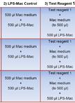 Macrophage Inflammatory Assay