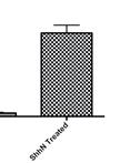 Hedgehog (Hh) Reporter Activity Assay