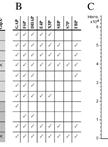 Development of a Novel Assay for Synthesis and Hydrolysis of Sedoheptulose 1,7-bisphosphate (SBP) in vitro by Combinations of Purified Fructose 1,6-bisphosphate aldolases (FBA) Proteins and Fructose 1,6-bisphosphatases (FBPase) Proteins from Bacillus methanolicus MGA3
