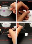 Fluorescence Microscopy for Cilia in Cultured Cells and Zebrafish Embryos