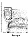 Isolation of ILC2 from Mouse Liver