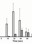 <em>In vitro</em> DNA Polymerization Activity Assay Using Cell-free Extracts