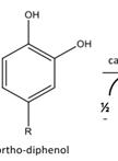 Assays of Polyphenol Oxidase Activity in Walnut Leaf Tissue