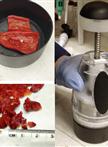 Carotenoid Extraction and Quantification from Capsicum annuum