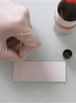 Extraction and Purification of Mycobacterial Mycolic Acids 